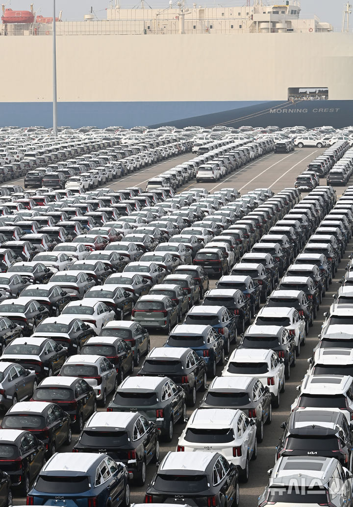 평택항 자동차 전용부두에 세워져 있는 수출용 자동차