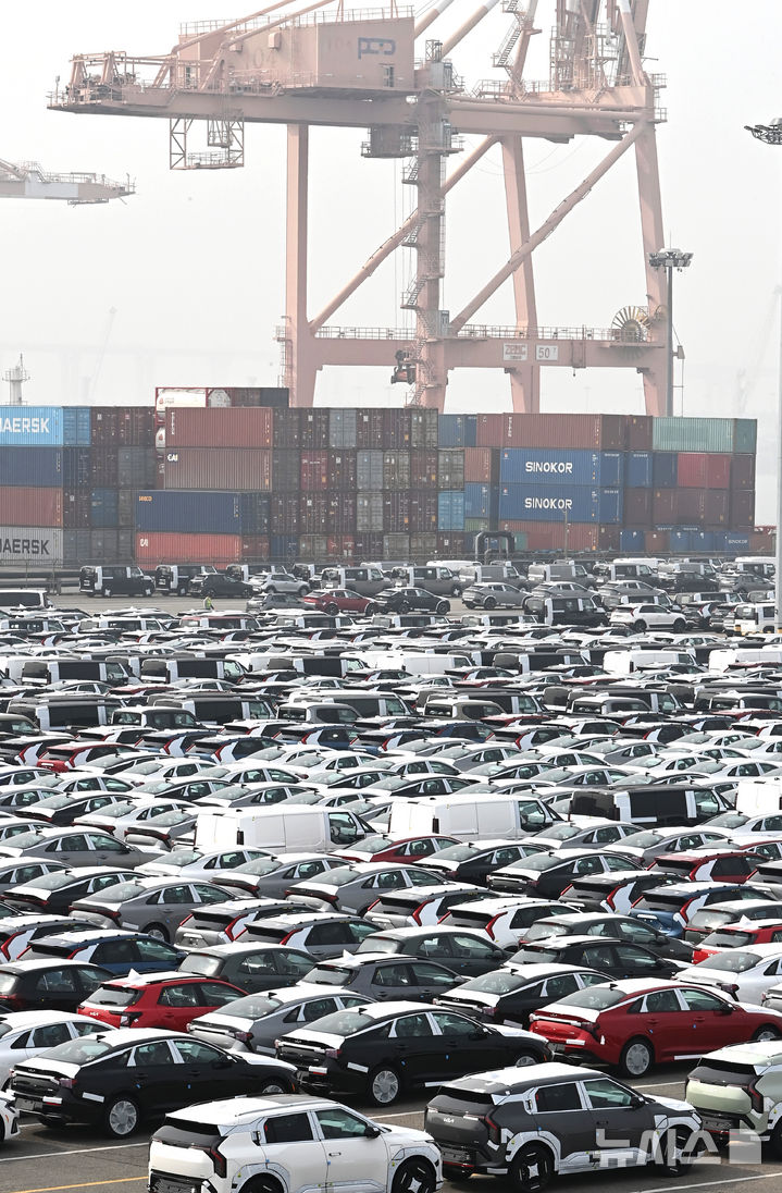 수출 대기중인 자동차