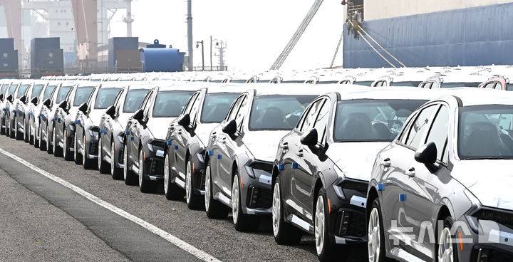 수출 대기중인 자동차