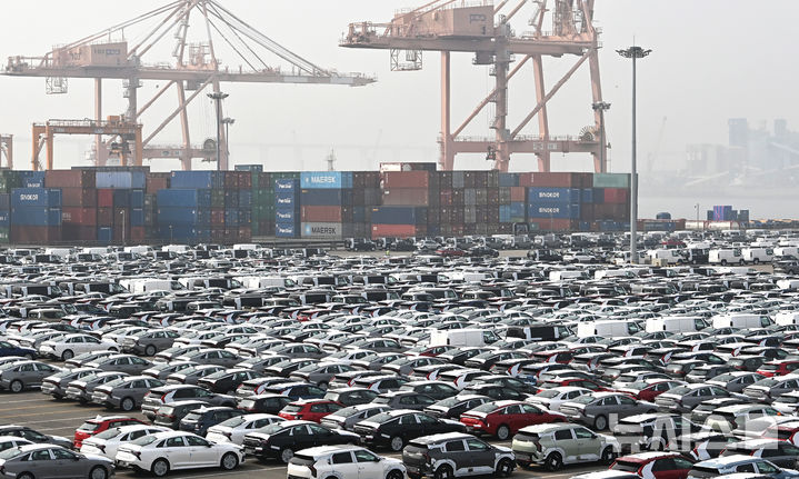 수출 대기중인 자동차