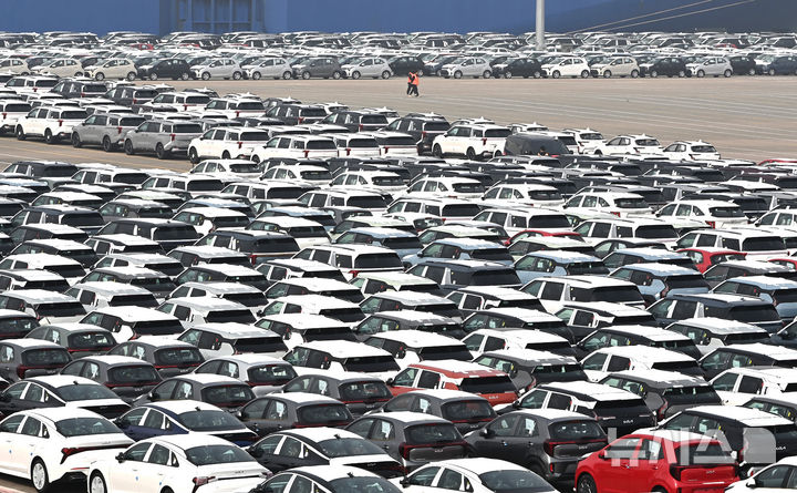 평택항에 세워져 있는 수출용 자동차