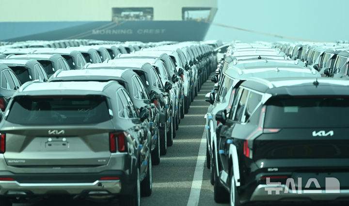 평택항 자동차 전용부두에 세워져 있는 수출용 자동차