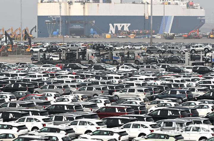 평택항에 세워져 있는 수출용 자동차