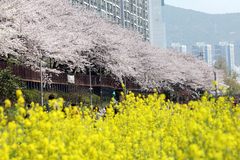 부산, 맑은 날씨…낮 최고기온 14도