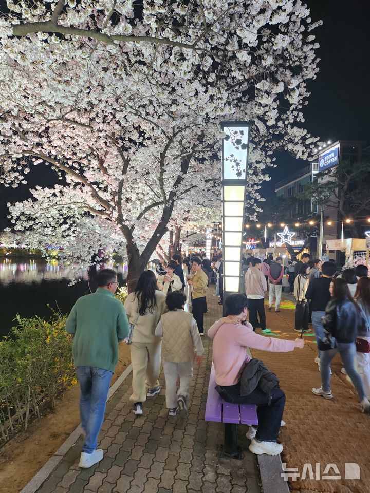 김천 연화지 벚꽃 축제…'상춘객 북적'