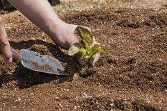 "남의 집 변기 독점했다"…고대 중국 억만장자 직업의 실체