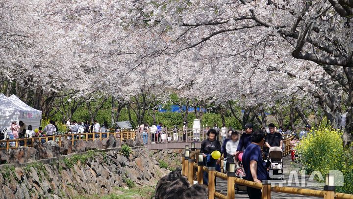 제4회 서홍동 웃물교 벚꽃축제 개막