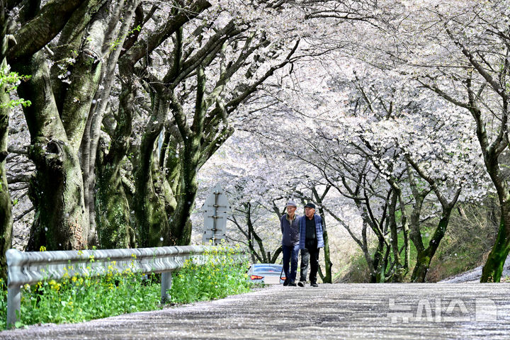 꽃길만 걸으세요