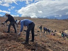 SKT·유한킴벌리, 안동 산불 피해지에 1500그루 식재
