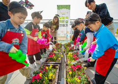 KT, 광화문 빌딩 옥상에 숲 만들었다…어린이 생태 교육