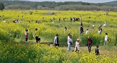 전국 곳곳 천둥번개 동반한 비…황사비에 미세먼지도 '나쁨'