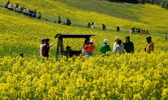 주말 전북은 낮 최고 20도 포근… 황사 유입 '주의'