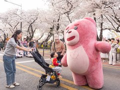 벨리곰, 여의도 벚꽃길에 등장
