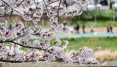 대체로 맑은 울산, 아침엔 5도·낮엔 14도