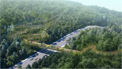 남산자락숲길~남산둘레길 잇는다…공중 통행로 조성