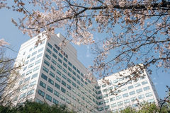 세종대 산업대학원, 2026학년도 후기 석사과정 신입생 모집