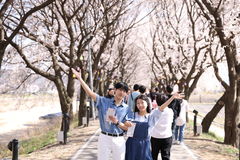 [보은소식]벚꽃길 축제 ‘지역상권 활력’ 페이백 이벤트 등