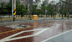 "돌덩이 떨어지는줄"…4월 대낮에 쏟아진 지름 1㎝ 우박