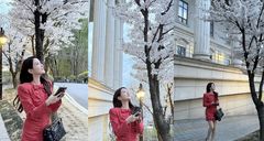 우영우 맞아?…박은빈, 벚꽃 아래서 미모 '열일'