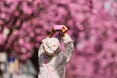 울산, 맑다가 차츰 흐림…최고기온 17도