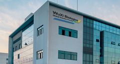 中우시바이오, 매출 16%↑…美생물보안법은 솜방망이?