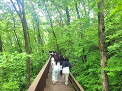 횡성숲체원, 산림치유 '국민마음건강' 11월까지 모집