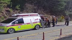 도로 인근 수풀서 산나물 따던 60대, 수로로 추락해 부상