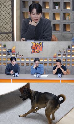 8년차 개아빠 손태진에 강형욱 "개가 안 좋아하는 발성"