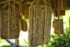 왜 한·중·일은 위암·간암이 많을까?…발효식품의 숨겨진 양면성