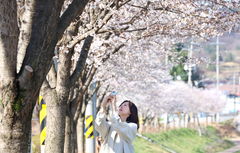 전북 출근길 쌀쌀…낮 15~18도 '큰 일교차 주의'…내일 많은 비