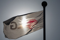 LG전자, 1분기 '깜짝 실적'…사상 첫 영업익 '4조 시대' 기대