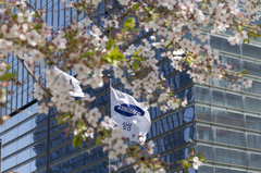 "지금 올라탈까"…증권가 "40만전자·200만닉스 간다"