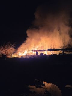 천안 동면 양봉장 화재…2300여 만원 재산피해