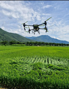 정선군, 드론으로 방제한다…161농가 379ha 규모로 실시