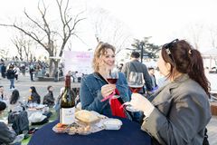 N서울타워, '남산 와인페어' 성료…"외국인도 즐기는 벚꽃 시즌 축제"