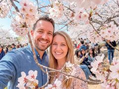 벚꽃에 취한 외국인…클룩, 3월 여행상품 트래픽 급증