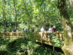 횡성숲체원, 강원 장기요양요원 '산림치유 캠프' 운영