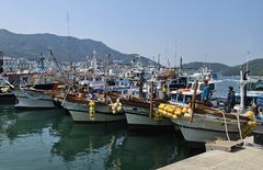 통영시, 연안어선 68척 감척…후속 행정절차 속도