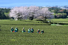 제주, 구름 많고 일교차 커…낮 최고 18~20도