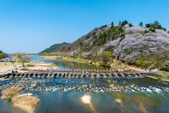 "천년 농다리에 깃든 선조의 지혜"…초평호 물길 따라 봄을 걷다[N픽 여행]