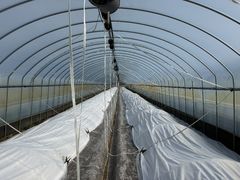 [영동소식]자동화 개폐기로 수박 재배 노동력 90% 절감 등