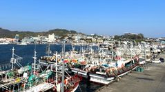 [포항소식]국제 유가 급등, 어업용 유류비 긴급 지원 등