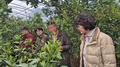 경북농기원, 중동전쟁으로 비상걸린 시설농가에 기술 지원