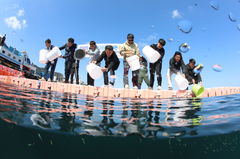 [부산소식]수산자원공단, 울릉해역에 토종 첨연어 방류 등
