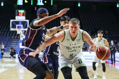 DB-KCC, SK-소노 6강 PO 격돌…프로농구 정규리그 마무리(종합)