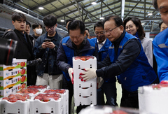 與 "김부겸, 제2의 노무현…대구 선거 이길 유일한 필승 카드"(종합)