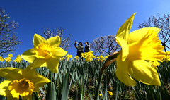 일요일 경기남부 가끔 구름…큰 일교차 주의