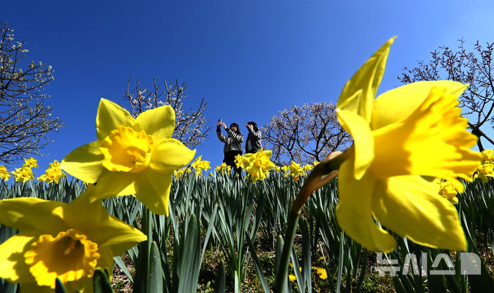 일요일 경기남부 가끔 구름…큰 일교차 주의