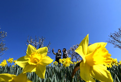 충남권 평년보다 낮 기온 높아…일교차 10~20도