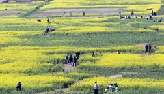 선케어, 자외선 차단만으론 부족…피부 컨디션까지 챙긴다